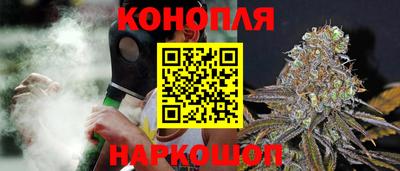 мяу мяу мука Владикавказ