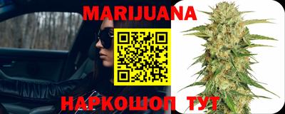 мяу мяу мука Владикавказ