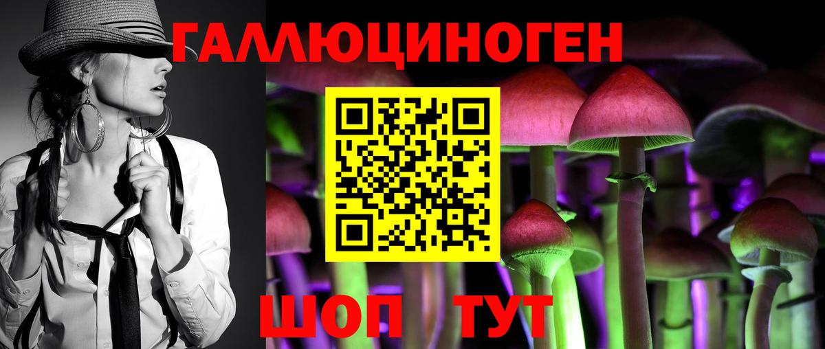 Псилоцибиновые грибы ЛСД  Вход с VPN  Богородск  Псилоцибиновые грибы Psilocybe 