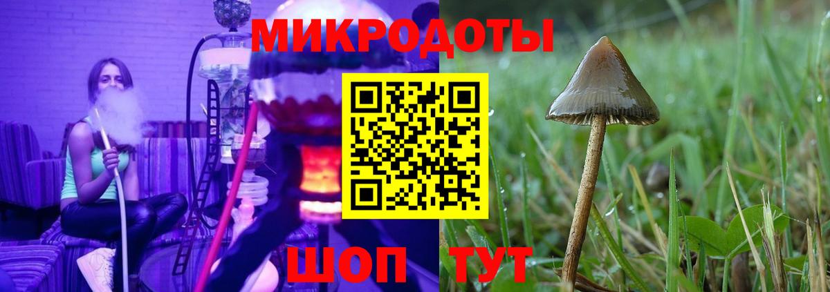 Псилоцибиновые грибы ЛСД Богородск
